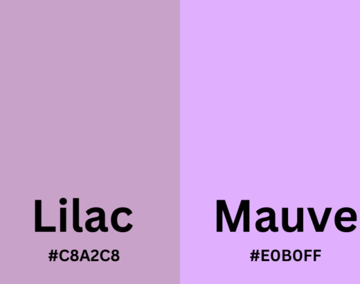 Lilac vs Mauve - Understanding the Subtle Differences