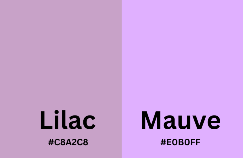 Lilac vs Mauve – Understanding the Subtle Differences